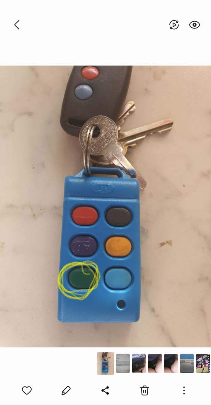 ELECTRIC GATES REMOTE CONTROLS PRETORIA EAST WISE ELECTRIC FENCE AND AUTOMATIONS 0781867133